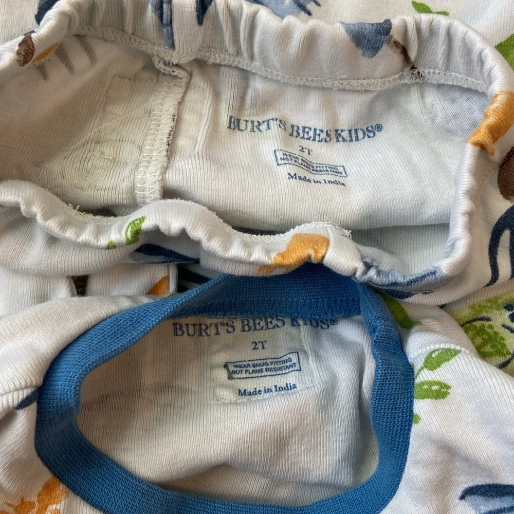 Burt’s Bees Baby garden matching set boys size 2T plants snails pajamas preppy